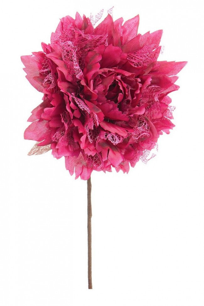 12x Pick Rosa Frise' Borgoña