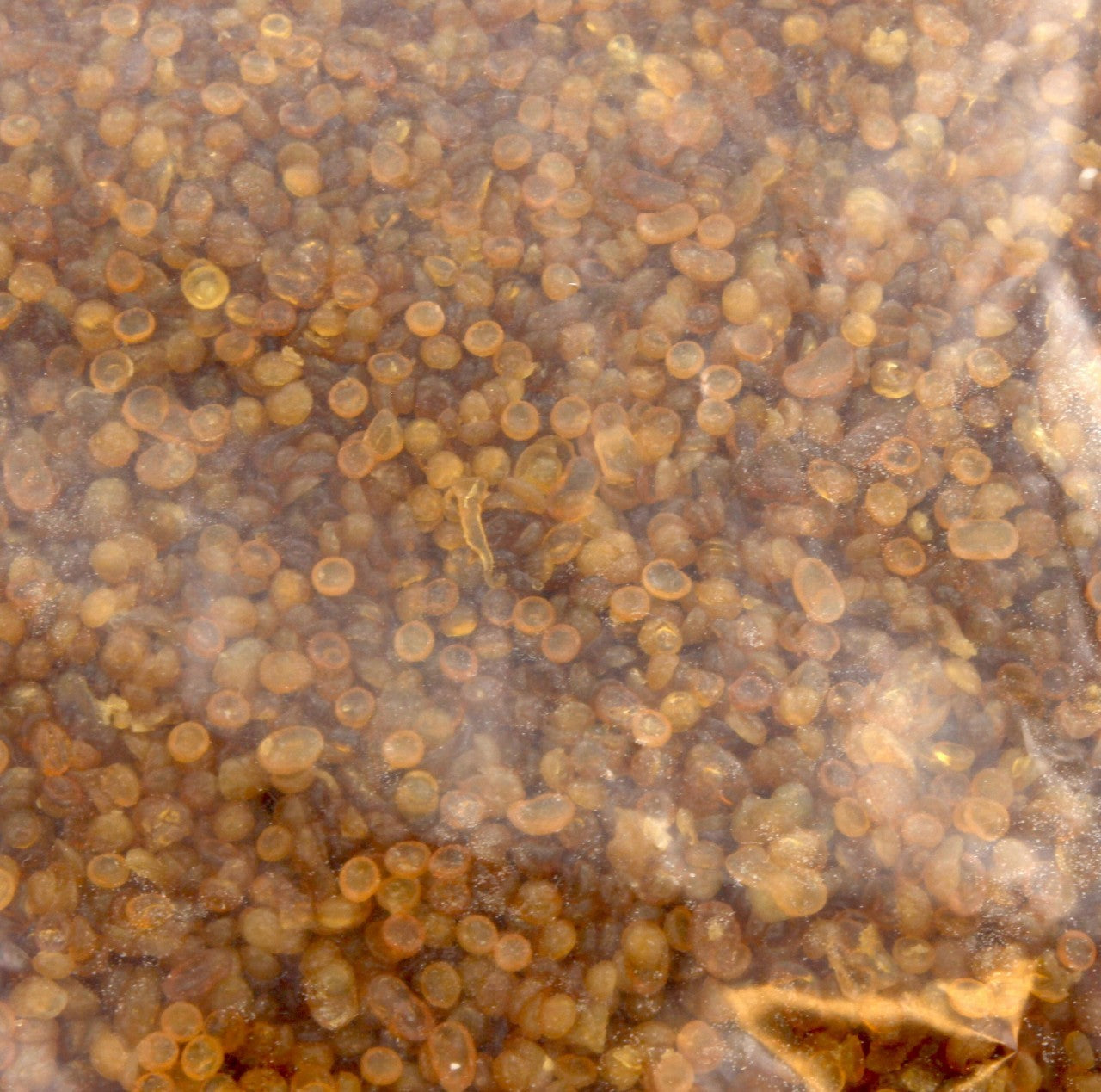 Pegamento de Perlas para Restauración 25 kg