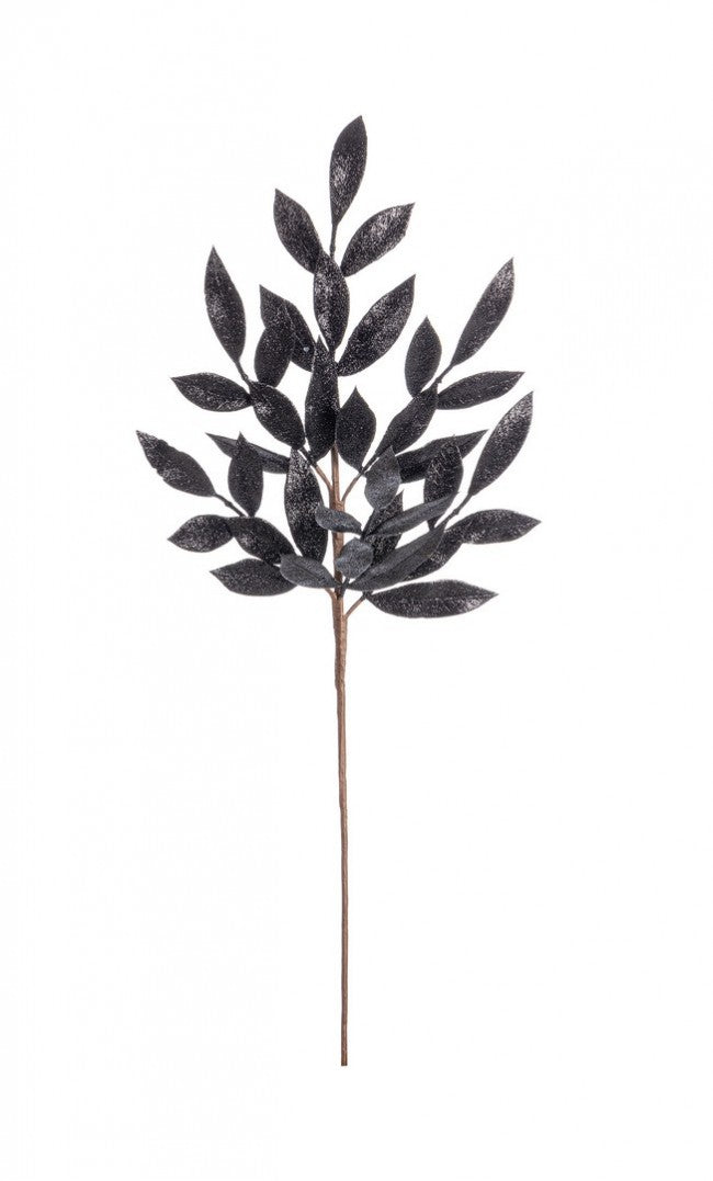 12x Rama Nathan negra Al 70 cm