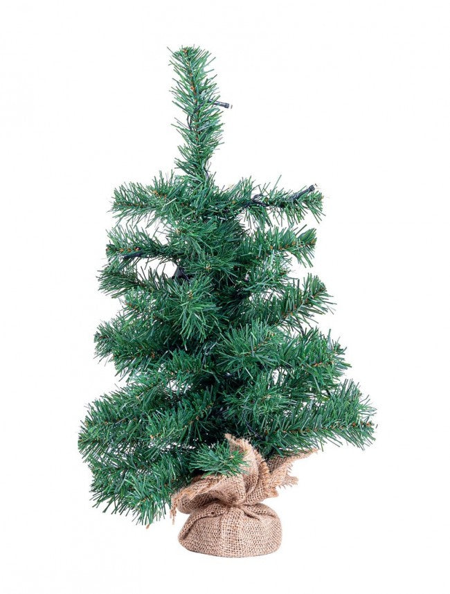 6x Árbol Innsbruck H45