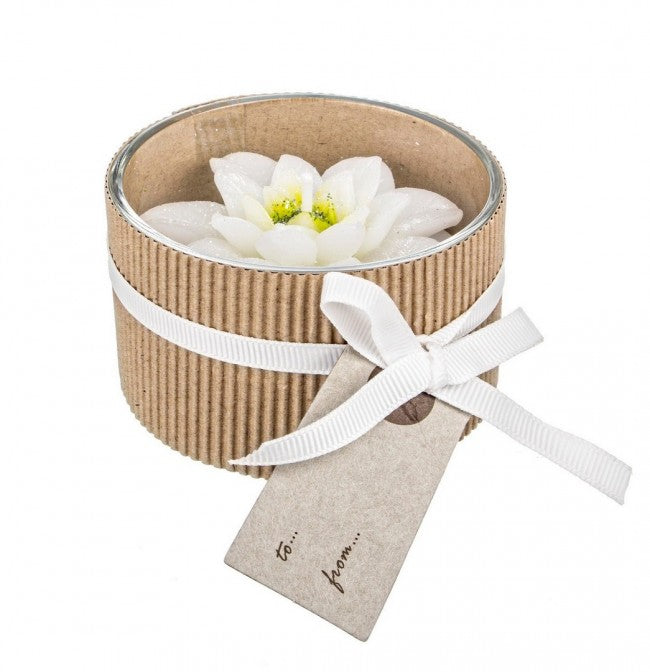 12x Vela Blanca Estrella De Navidad C