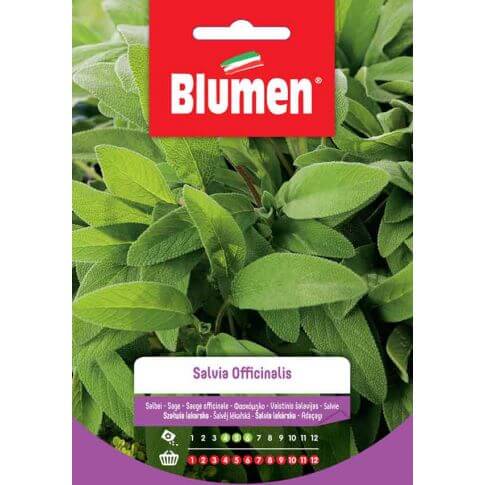 Semillas de Salvia officinalis