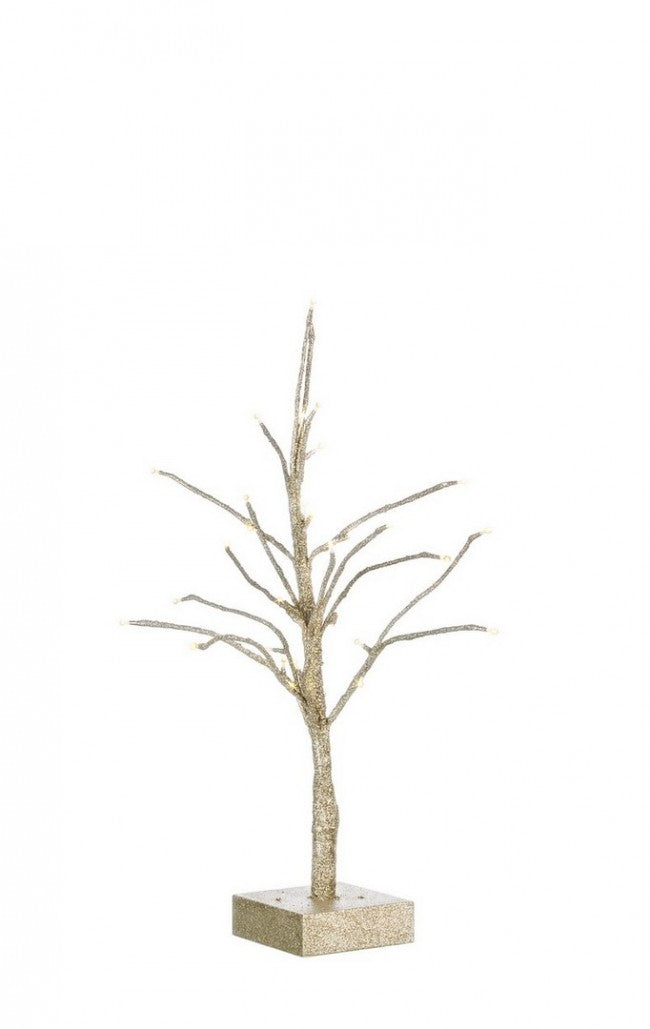 2x Árbol de champán Glad Alt.60