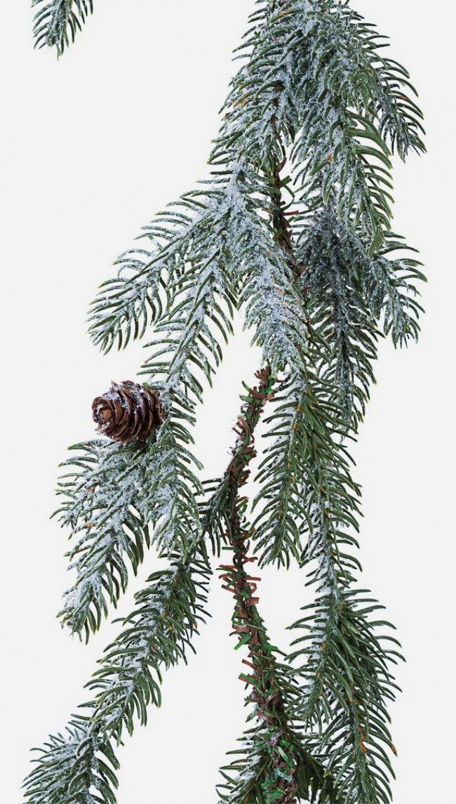 6x boya de nieve Elbert H180