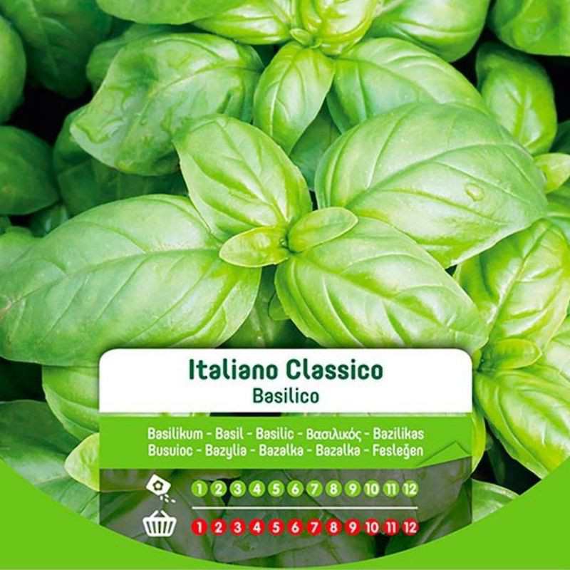 Semillas de albahaca italiana clásica en bolsa