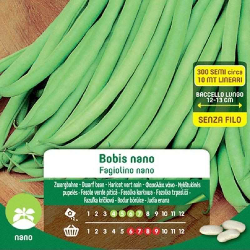 Semillas de Judía Verde Bobis Nano Dwarf en Maxi Bolsa