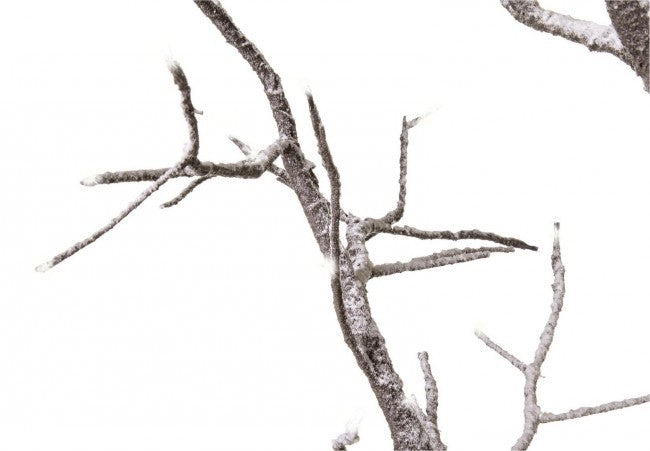 2x mástil Timber Fat H210