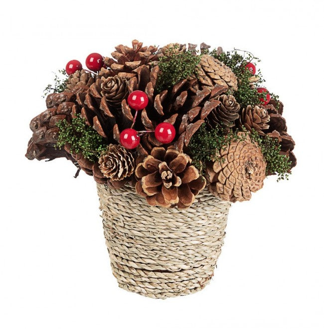 8x Composición Secuoya C