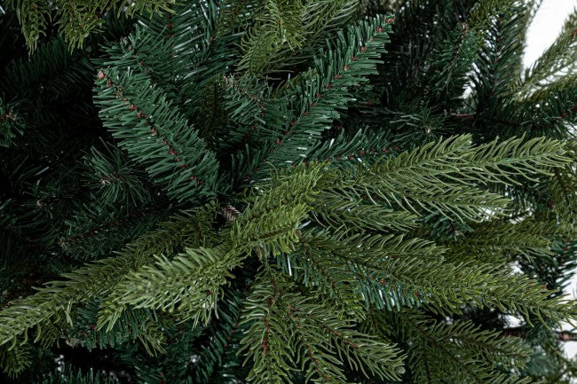 Árbol Bernina H270-5171Ramas