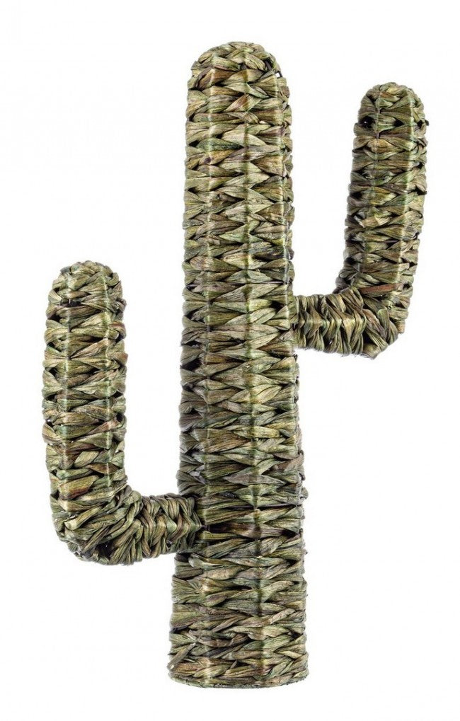 2x Cactus Saguaro Verde Alt.73