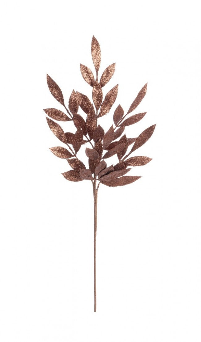 12x Rama Nathan marrón Al. 70 cm