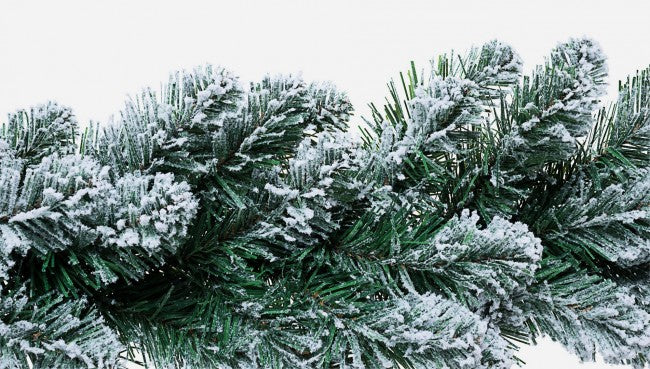 12x Banner Nevado de Innsbruck Alt. 120