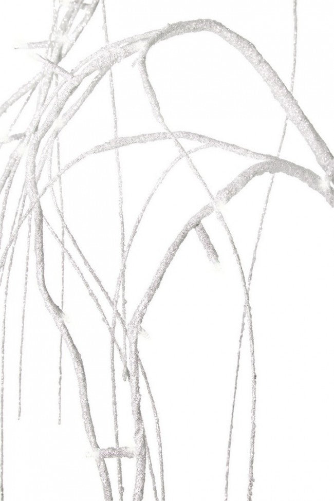 2x Árbol Salice Bia Irid H120