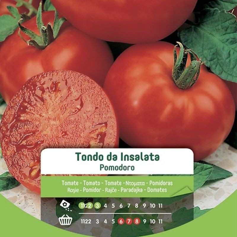 Semillas de Tomate Ensalada Redonda en Bolsa