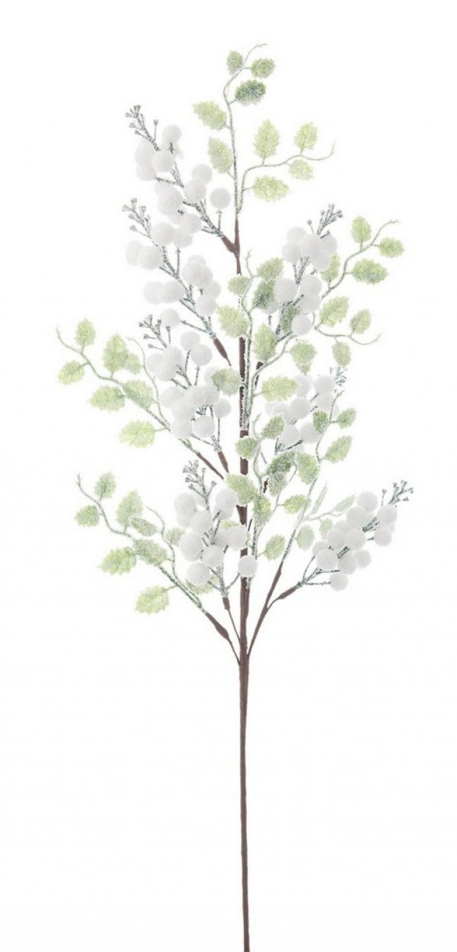 12x Rama Jillie Berries Blanco C