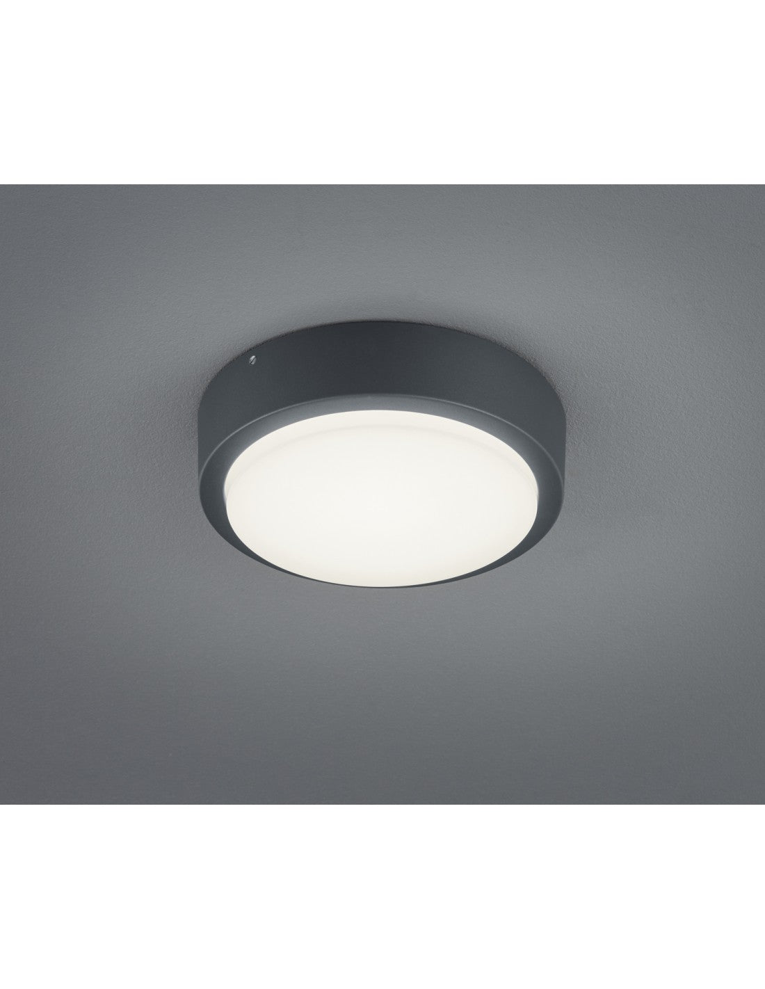 Lámpara de techo para exterior Breg Antracita IP54 Ø20 cm Trio Lighting