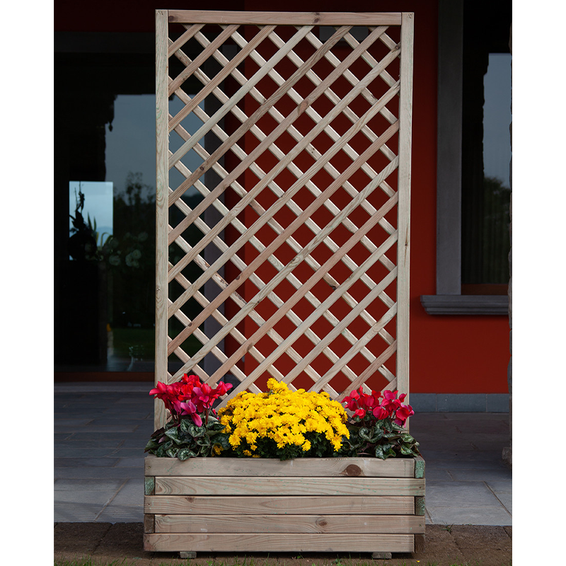 Composición de orquídeas con rejilla y jardinera.