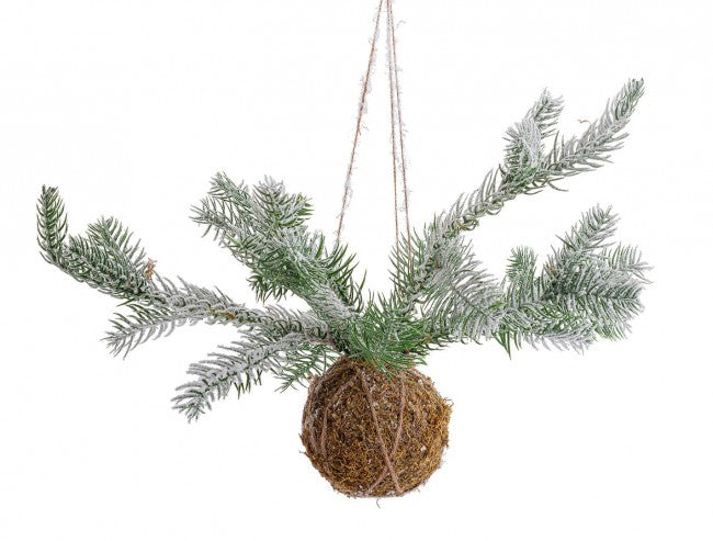 6x Decoración Esfera Kokedama C
