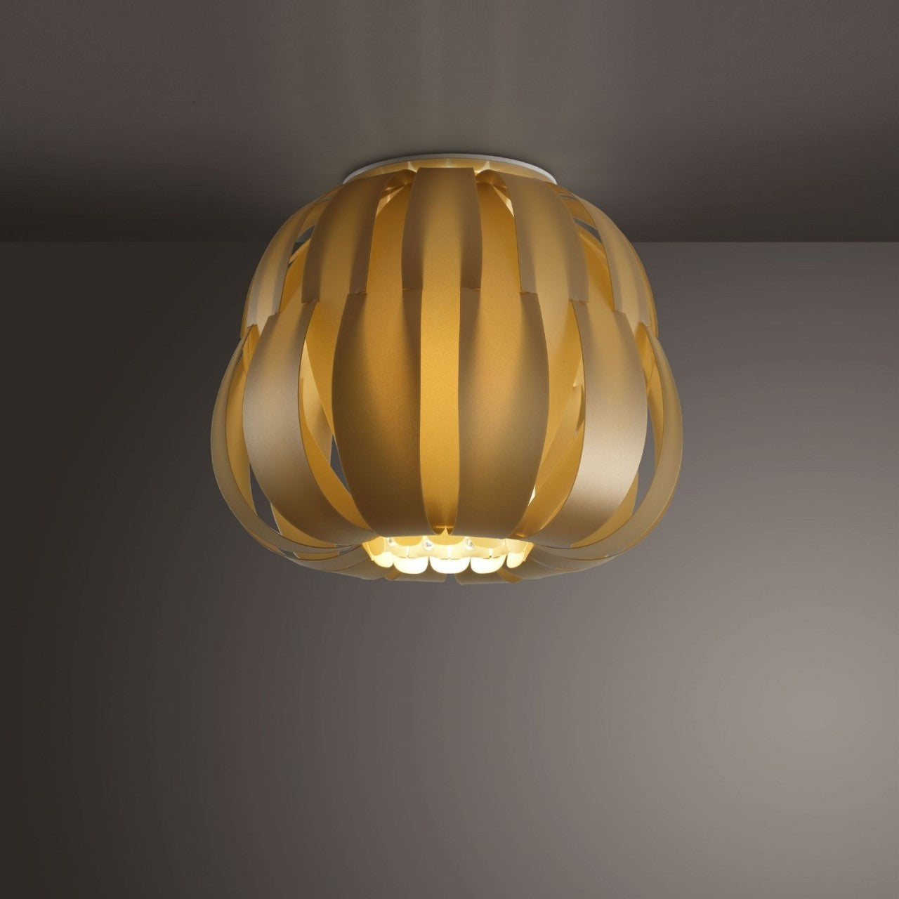 Nuevo Plafón dorado cm. 19 x 17 h