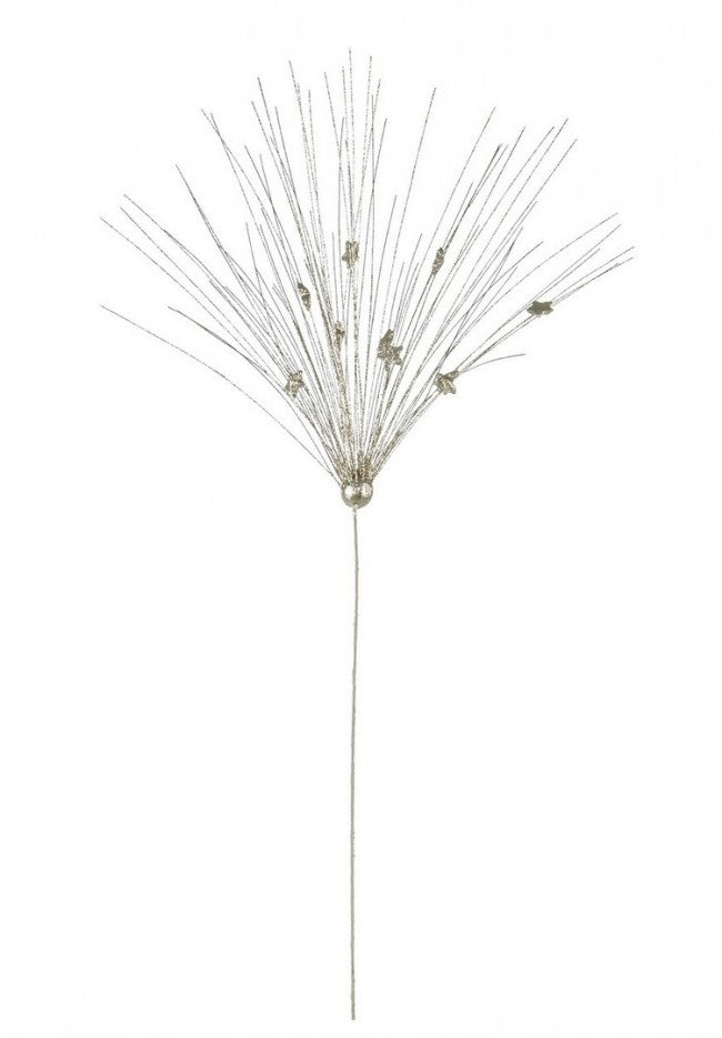 12x Pick Gleam Champán C