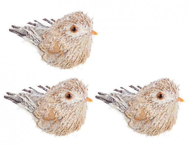 4x Set3 Clips para pájaros leñosos