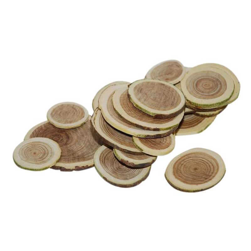 Rodajas decorativas de abedul