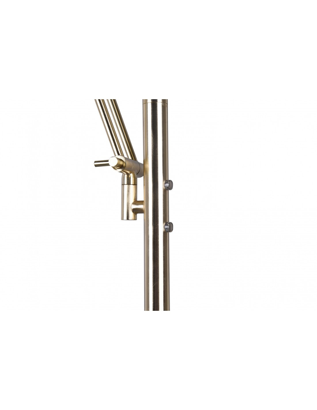 Lámpara de pie LED moderna con foco de lectura regulable Barrie Brass Trio Lighting