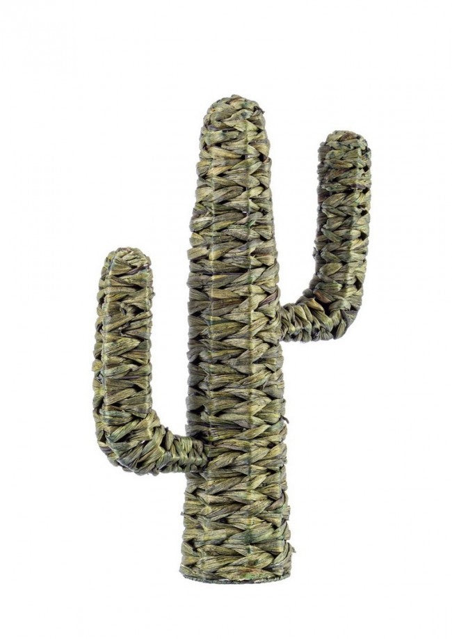 4x Cactus Saguaro Verde Alt.59