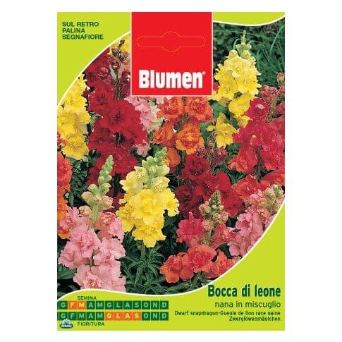 Bolsita con semillas mixtas de boca de dragón enano