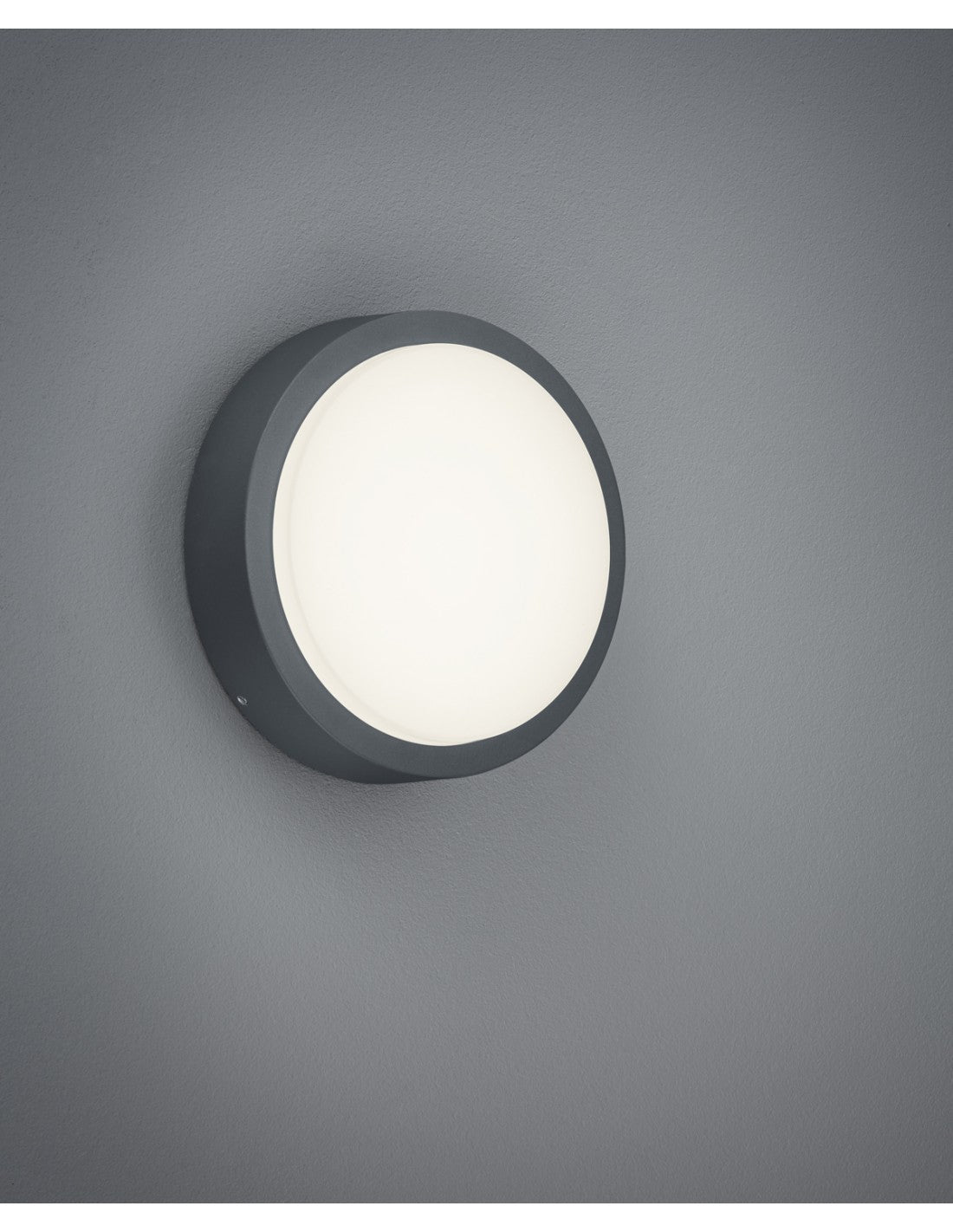 Lámpara de techo para exterior Breg Antracita IP54 Ø20 cm Trio Lighting