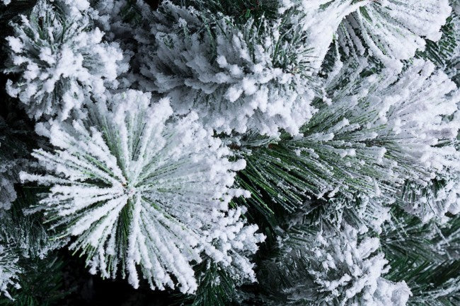 Árbol Hamburgo Innev H210-1420Ramas