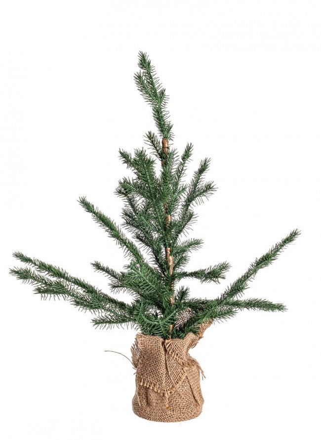 6x Pino Nordend Alt.60