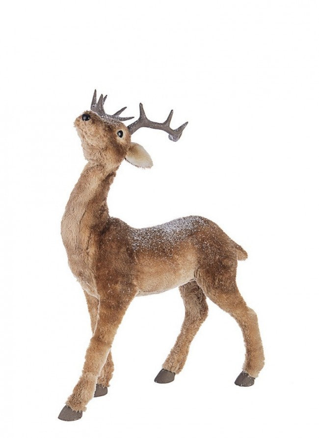 1x Reno Walt Stand S