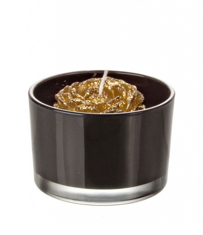 8x vela Minimalchic C