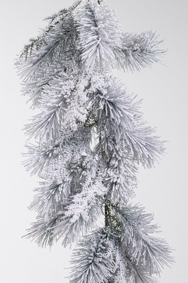 2x Boya nevada de Salzburgo H270