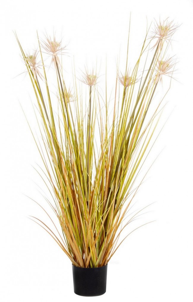 4x Maceta C para plantas de paja del desierto X7F H120