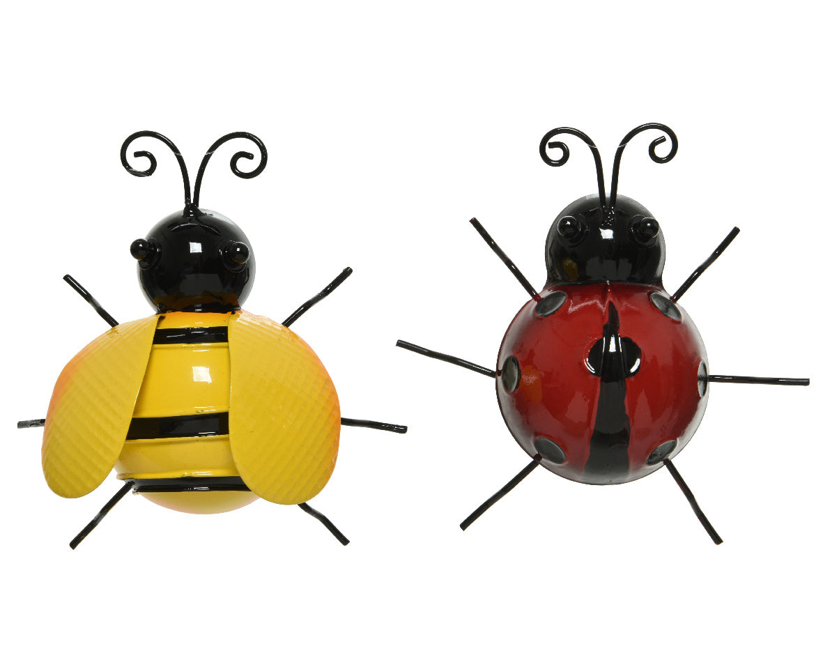 Insecto de hierro al aire libre