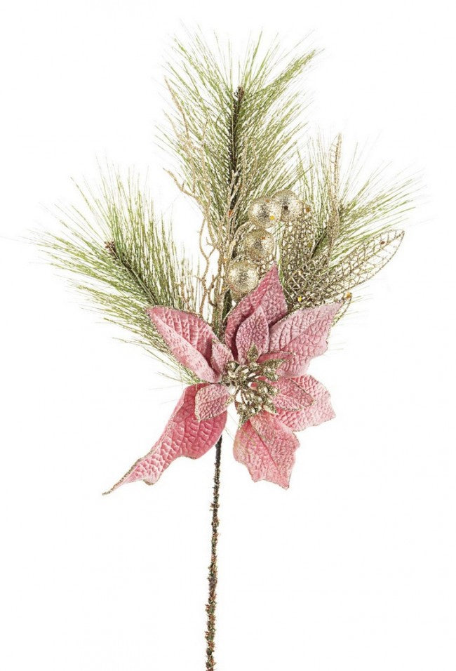 12x Púa Annabel Poinsettia Rosa Alt.50Cm