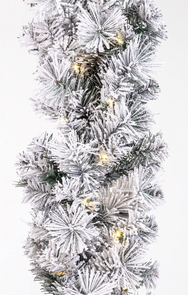 2x Boa Thurn Nevado H270 C