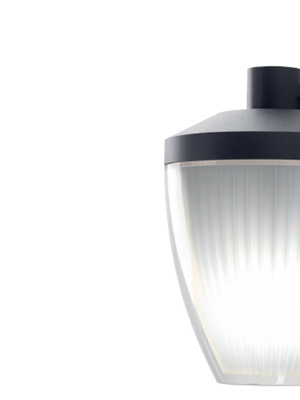 Apliques Fondo E27 grafito ficus line