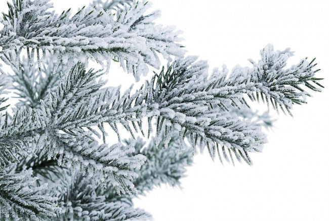 Pino nevado del Elbrus H125