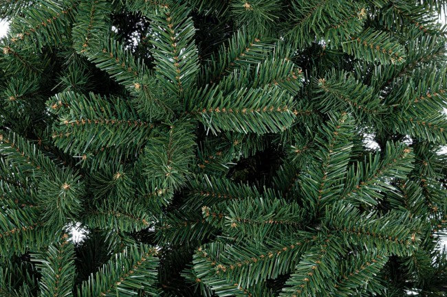 Árbol Nuremberg Fr H270-1998Ramas