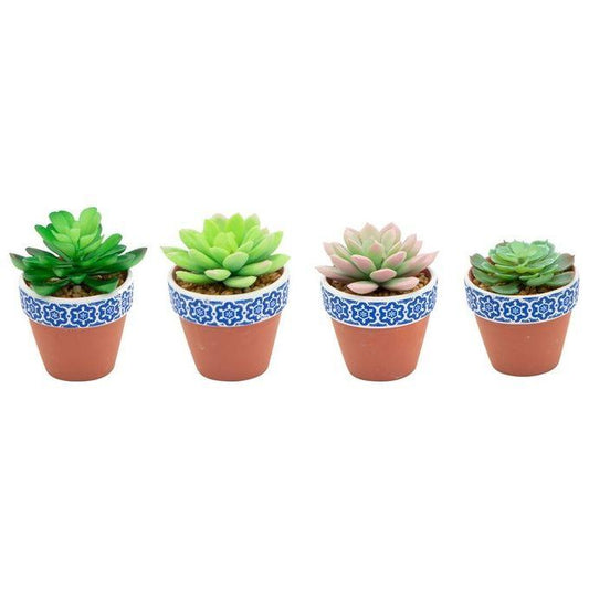 Set di 4 Succulente con Vaso in Terracotta Decorato, Colori Assortiti