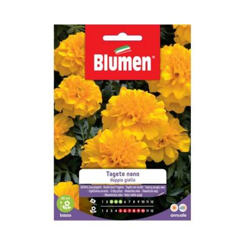 Semillas De Caléndula Enana Doble Blumen Amarillo