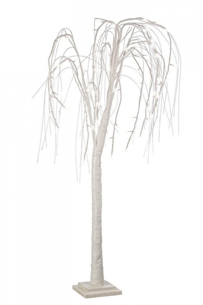 2x Árbol Salice Bia Irid H120