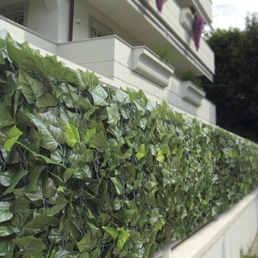 Hiedra perenne de doble hoja