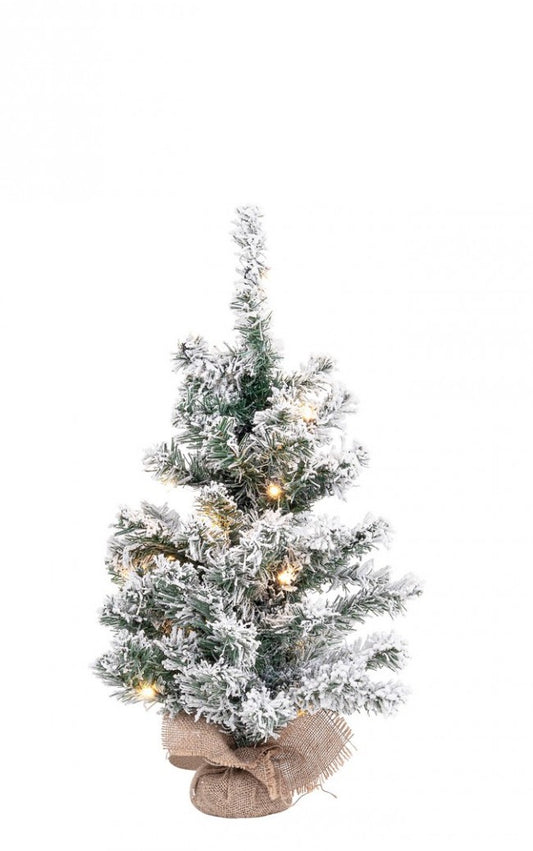 6x Árbol de Innsbruck cubierto de nieve Al. 60 C