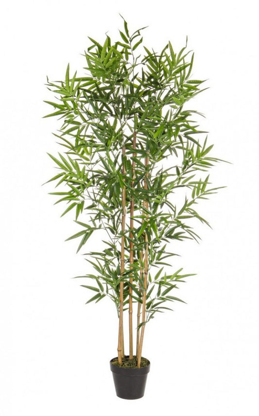 2x Maceta C para plantas de bambú Al. 155 cm