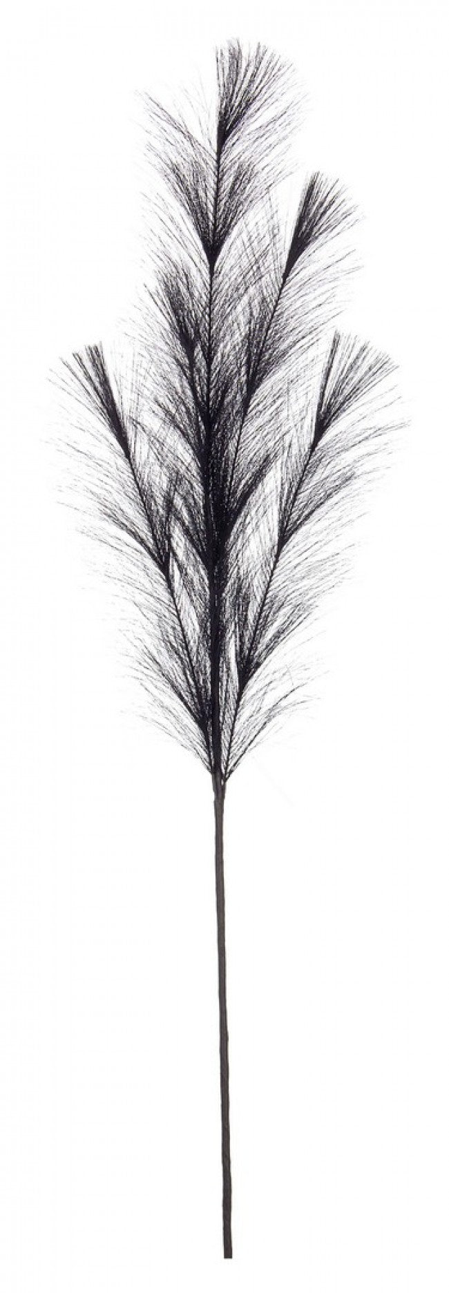 12x Rama Nelly Pampas Negro Al.100