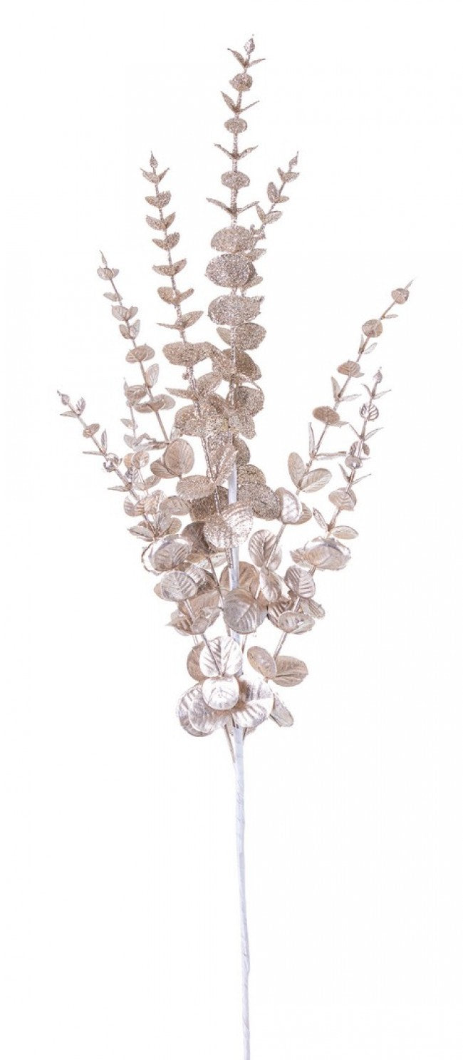 12x Rama Jada champán Al. 75 cm